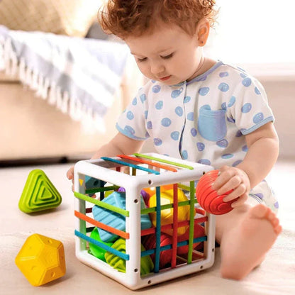 Flufeez Box - Educational Box