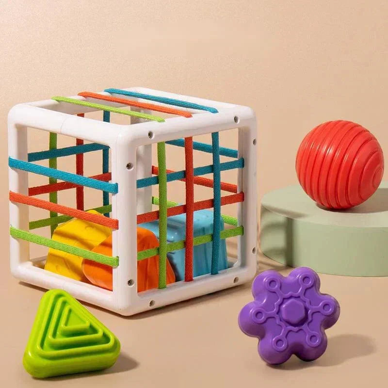 Flufeez Box - Educational Box