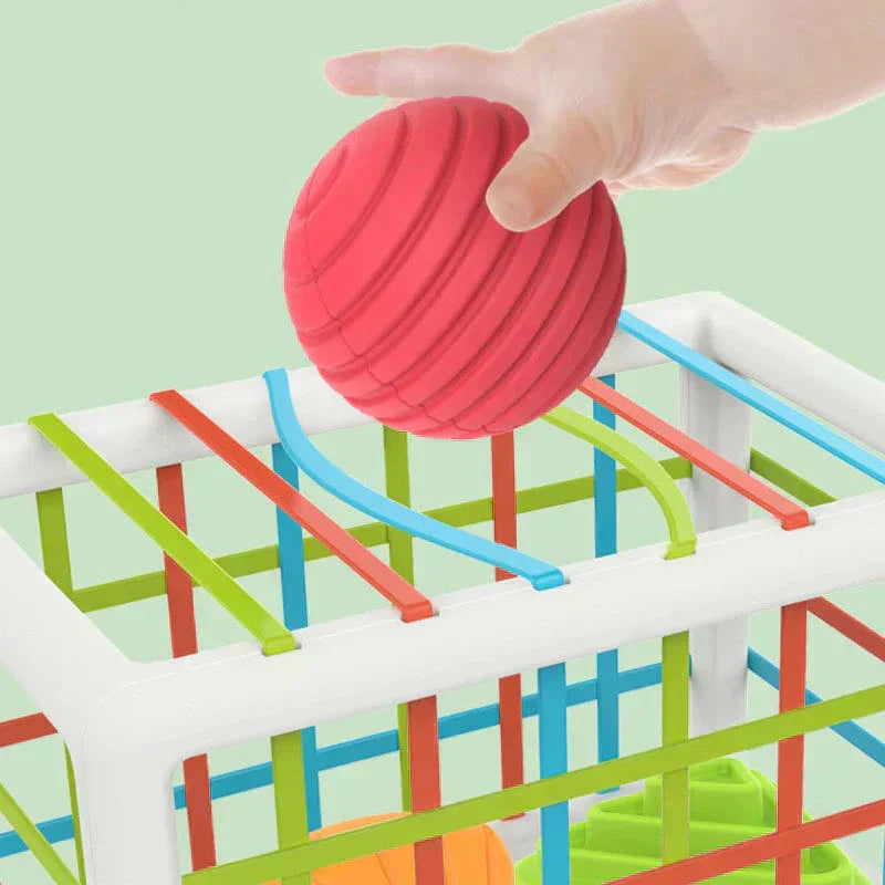 Flufeez Box - Educational Box