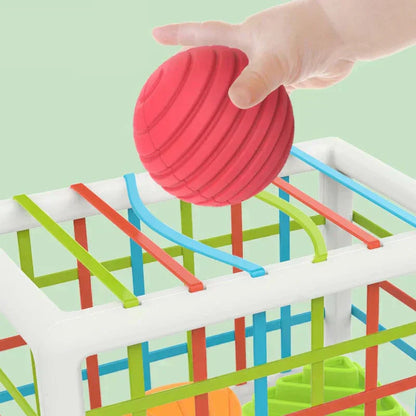 Flufeez Box - Educational Box