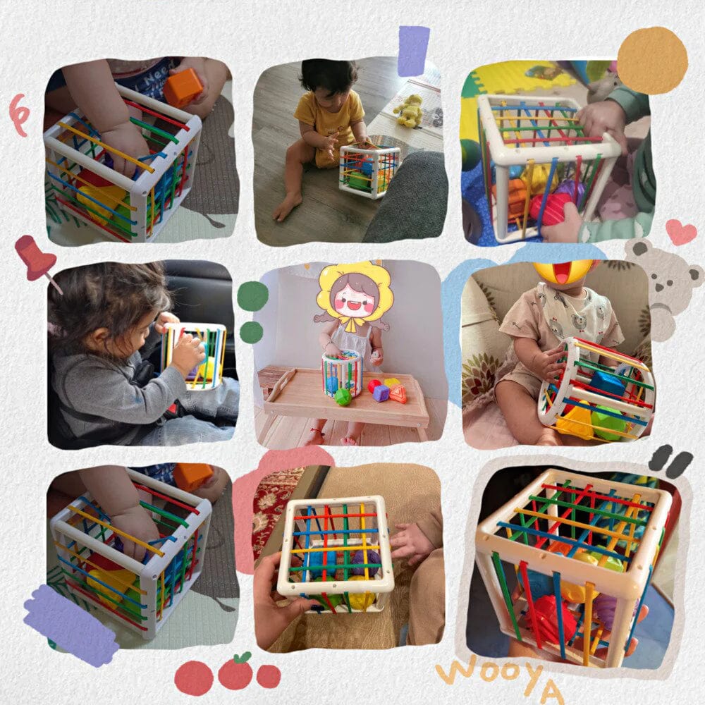 Flufeez Box - Educational Box